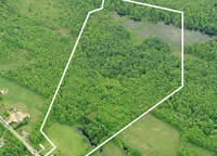10979 Thompson Corners Florence Road, Camden, NY - 49 Acres of Hunting and Snowmobiling Paradise!